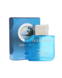 Туалетная вода мужская OCEAN BRISE 100 мл Positive parfum