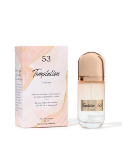 Парфюмерная вода женская 53 Temptation По мотивам IDOL 50 мл Green perfume