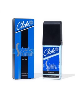 Туалетная вода мужская Chale Shuman, 100 мл Positive parfum