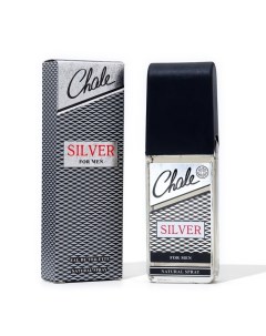 Туалетная вода мужская Chale Silver 100 мл Positive parfum