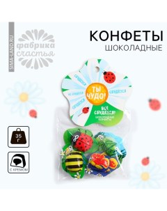 Конфеты шоколадные «Ты чудо» с формовым европодвесом, 35 г. Фабрика счастья