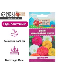 Семена цветов Цинния "Калифорнийские гиганты" смесь, 0,3 г Рецепты дедушки никиты