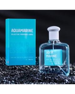 Туалетная вода мужская Colour ssncs Aquamarin 100 мл по мотивам Acqua Di Gio G Armani Today parfum