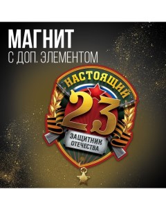 Магнит с подвеской на 23 февраля «Защитник отечества», 6 х 7,1 см Сима-ленд