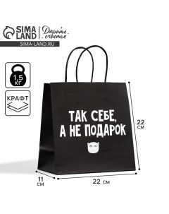 Пакет подарочный, упаковка, «Так себе, а не подарок», 22 х 22 х 11 см Дарите счастье