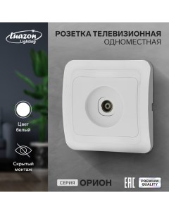 Розетка телевизионная одноместная Орион скрытая белая Luazon lighting