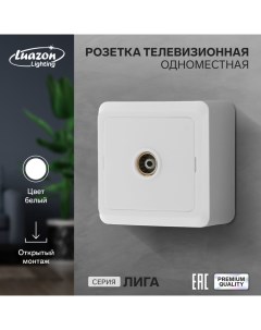 Розетка телевизионная одноместная Лига накладная белая Luazon lighting