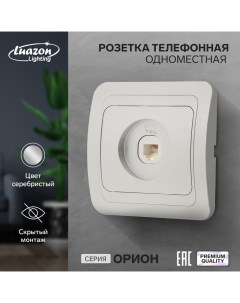 Розетка телефонная одноместная Орион скрытая серебристая Luazon lighting