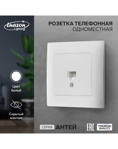 Розетка телефонная одноместная Антей скрытая белая Luazon lighting