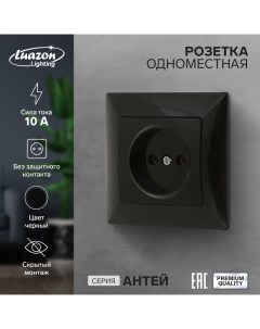 Розетка одноместная Антей 10 А скрытая без з к черная Luazon lighting