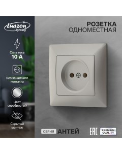 Розетка одноместная Антей 10 А скрытая без з к серебристая Luazon lighting