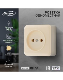 Розетка одноместная Лига 10 А накладная без з к бежевая Luazon lighting