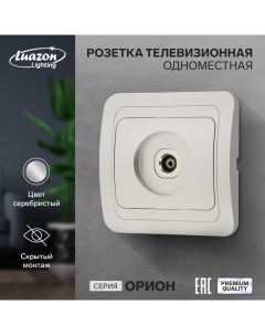 Розетка телевизионная одноместная "Орион", скрытая, серебристая Luazon lighting