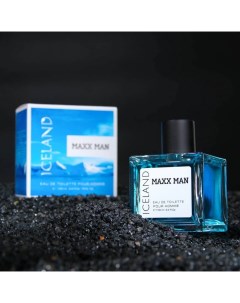 Туалетная вода мужская Maxx Man Iceland, 100 мл (по мотивам Mexx Ice Touch Man) Today parfum