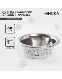 Миска для кошек и собак из нержавеющей стали Sweet home, 240 мл, 11 х 4 см Пушистое счастье