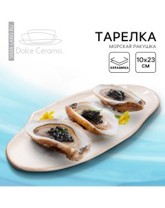 Тарелка керамическая Морская ракушка 10 х 23 см белая цвет белый Dolce ceramo.