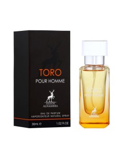 Парфюмерная вода мужская Toro Pour Homme по мотивам Hermes Terre D Hermes 30 мл Maison al hambra