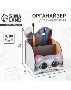 Органайзер для канцелярии «Котик» Artfox study