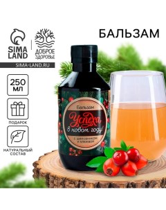 Бальзам с шиповником со вкусом клюквы «Успеха», 250 мл Доброе здоровье