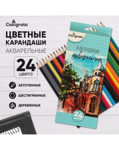 Карандаши акварельные 24 цвета, заточенные, в картонной коробке Calligrata