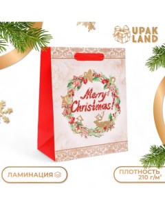 Пакет подарочный, ламинированный, "Merry Christmas",18 х 23 х 10 см. Upak land