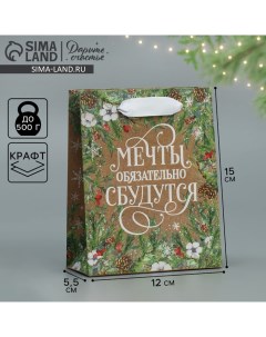 Пакет подарочный новогодний крафтовый вертикальный «Пусть мечты сбудутся», S 12 х 15 х 5.5 см Дарите счастье