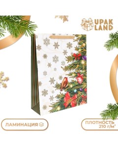 Пакет подарочный, ламинированный, "Птички",31 х 40 х 11,5 см. Upak land