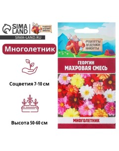 Семена цветов Георгин "Махровая смесь", 0,3 г Рецепты дедушки никиты