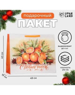 Пакет ламинированный горизонтальный "Мандаринки", XL 49 ? 40 ? 19 см. Upak land