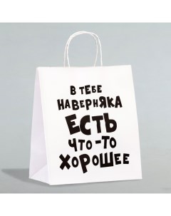 Пакет подарочный «В тебе наверняка есть что-то хорошее», 24 х 14 х 28 см, 1 шт. Upak land