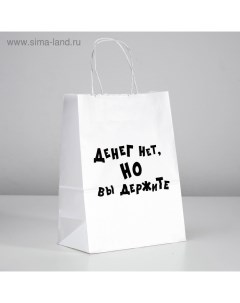 Пакет подарочный с приколами «Денег нет, но вы держите», 24 х 14 х 30 см Upak land