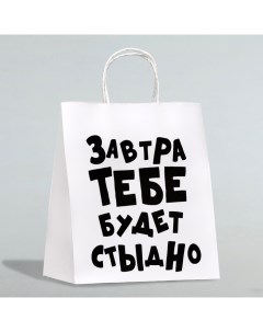 Пакет подарочный «Завтра тебе будет стыдно», 24 х 10,5 х 32 см Upak land