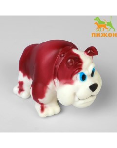 Игрушка пищащая "Бульдог" для собак, 12,5 см Пижон