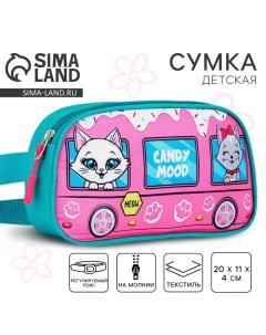 Сумка поясная детская для девочки «Котята» 20х11х4см Nazamok kids