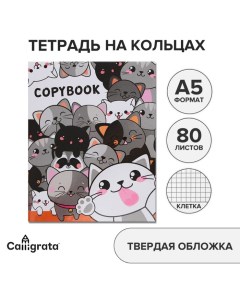 Тетрадь на кольцах A5 80 листов в клетку Коты обложка 7БЦ без вырубки под кольца блок офсет Calligrata