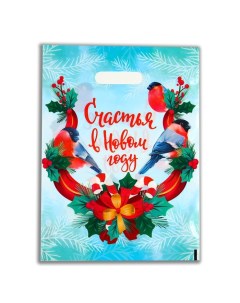 Пакет "Счастья в Новом году", полиэтиленовый с вырубной ручкой, 30х40 см. Upak land
