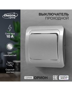 Выключатель проходной "Орион", 10 А, 1 клавиша, скрытый, серебристый Luazon lighting