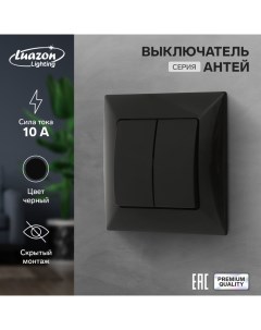 Выключатель Антей 10 А 2 клавиши скрытый черный Luazon lighting