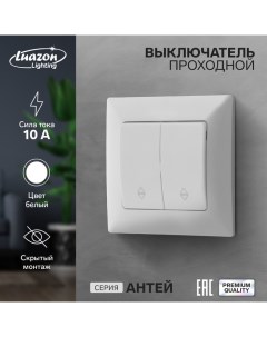 Выключатель проходной "Антей", 10 А, 2 клавиши, скрытый, белый Luazon lighting