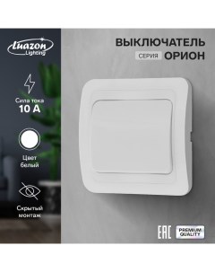 Выключатель Орион 10 А 1 клавиша скрытый белый Luazon lighting