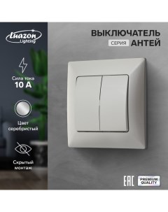 Выключатель Антей 10 А 2 клавиши скрытый серебристый Luazon lighting