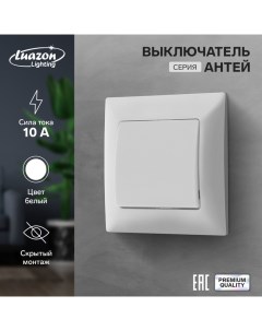 Выключатель Антей 10 А 1 клавиша скрытый белый Luazon lighting