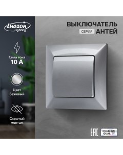 Выключатель Антей 10 А 1 клавиша скрытый серебристый Luazon lighting