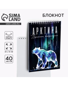 Блокнот Арктика А5 40 л картон Сима-ленд