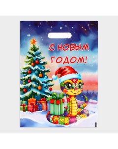 Новый год. Пакет "Змея в новогодней шапке", полиэтиленовый с вырубной ручкой, 30 х 40 см. Upak land