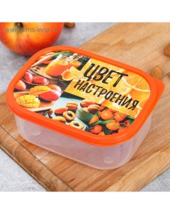 Ланч бокс Цвет настроения оранжевый 0 5 л Foodvibes