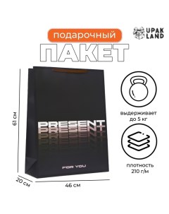 Пакет ламинированный "Present", XXL 46 х 61 х 20 см Upak land