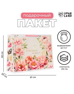 Пакет ламинированный "Красивых моментов", XXL 61 х 46 х 20 см Upak land