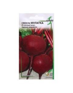 Семена Свекла "Мулатка", 120 шт Дом семян