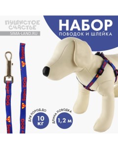 Комплект Super Dog шлейка 26 39 см поводок 120х1 см Пушистое счастье